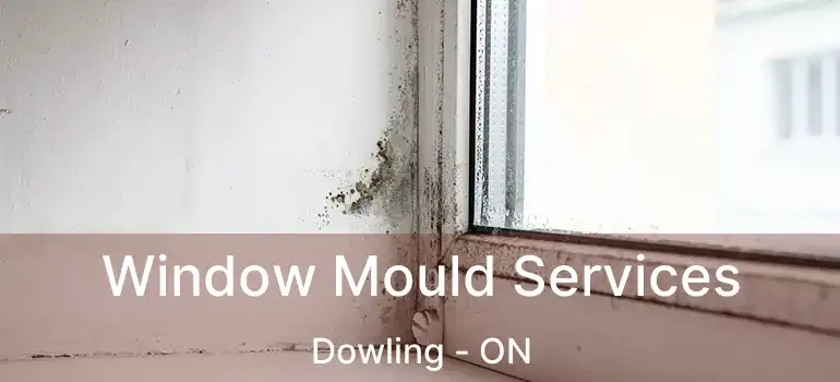  Window Mould Services Dowling - ON