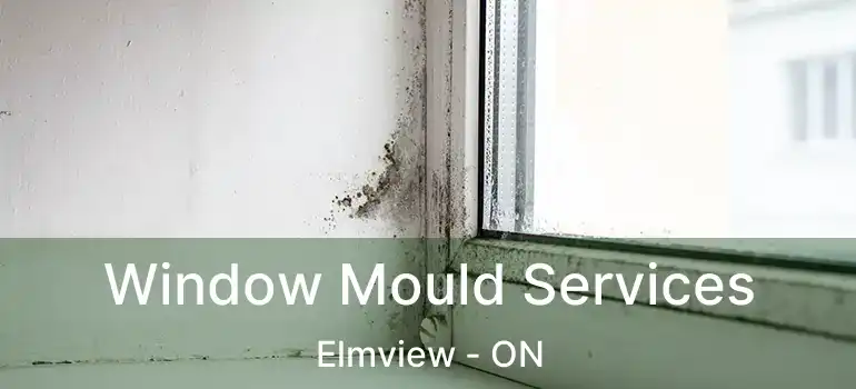  Window Mould Services Elmview - ON