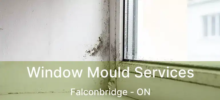  Window Mould Services Falconbridge - ON