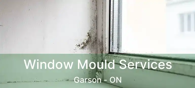  Window Mould Services Garson - ON