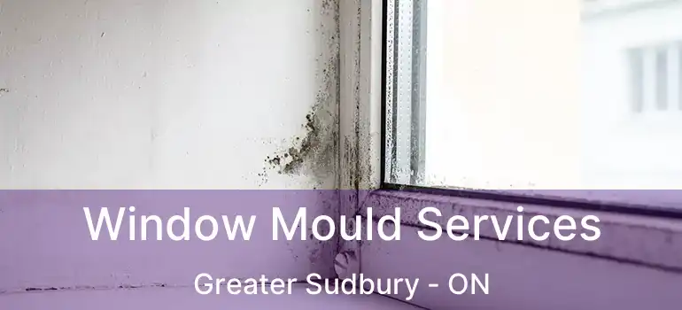  Window Mould Services Greater Sudbury - ON