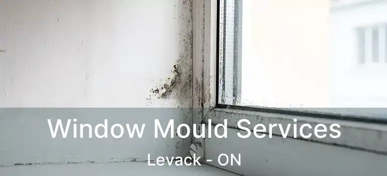  Window Mould Services Levack - ON
