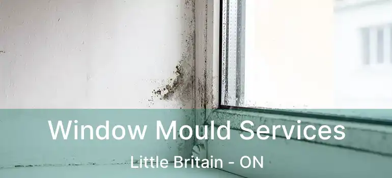  Window Mould Services Little Britain - ON