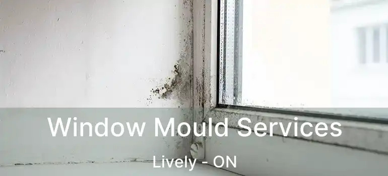  Window Mould Services Lively - ON