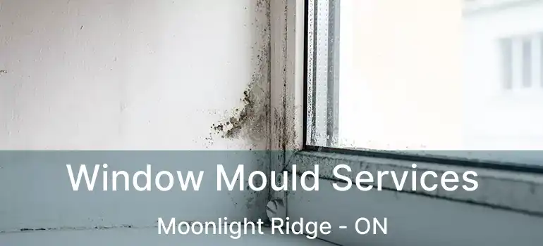 Window Mould Services Moonlight Ridge - ON