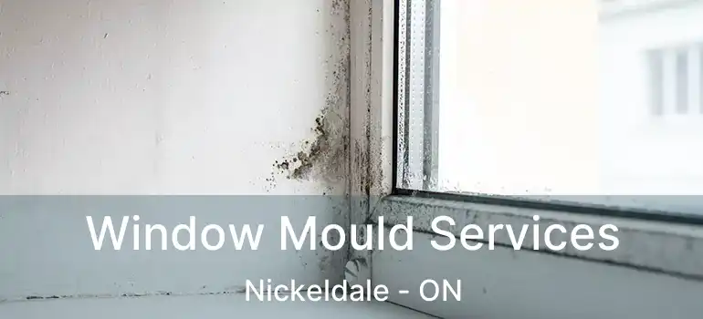  Window Mould Services Nickeldale - ON