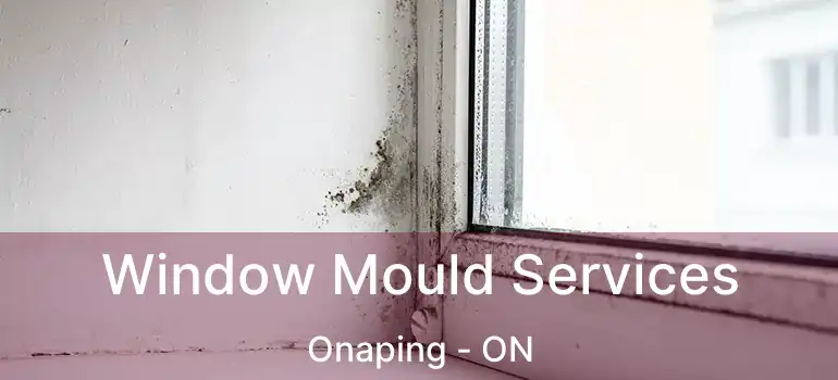 Window Mould Services Onaping - ON