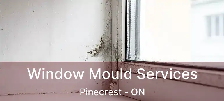  Window Mould Services Pinecrest - ON