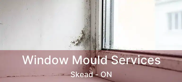  Window Mould Services Skead - ON