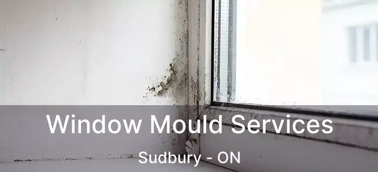  Window Mould Services Sudbury - ON