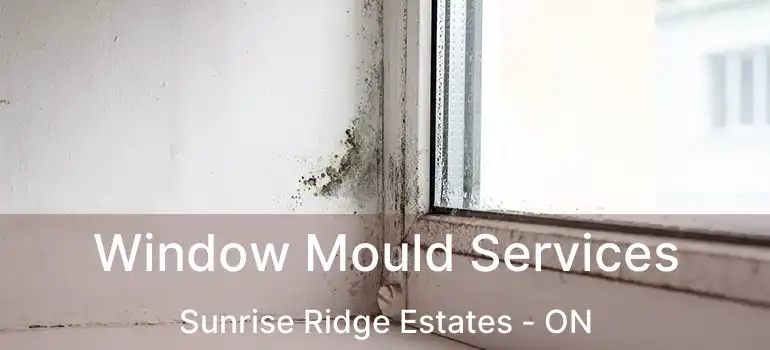  Window Mould Services Sunrise Ridge Estates - ON