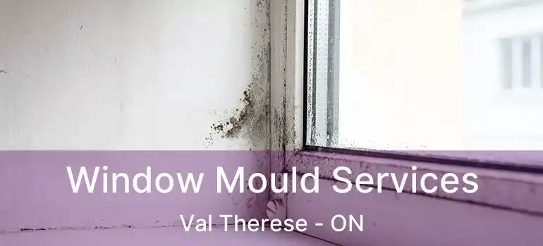  Window Mould Services Val Therese - ON