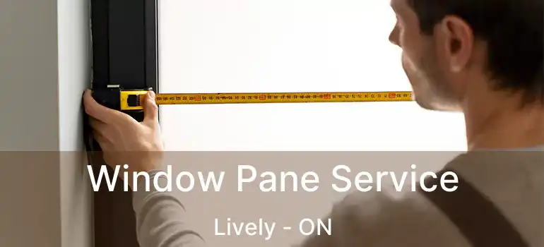  Window Pane Service Lively - ON