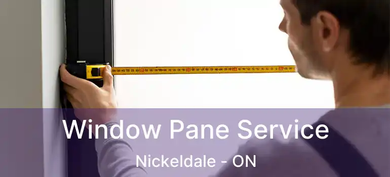  Window Pane Service Nickeldale - ON