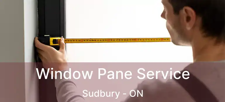  Window Pane Service Sudbury - ON