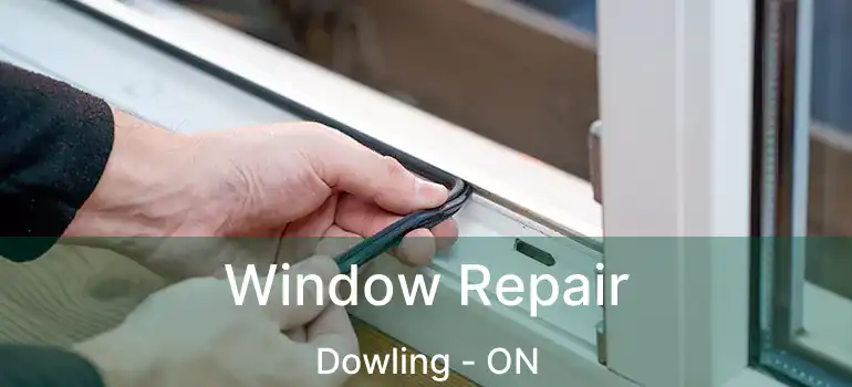 Window Repair Dowling - ON