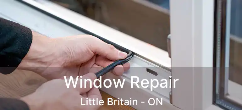  Window Repair Little Britain - ON