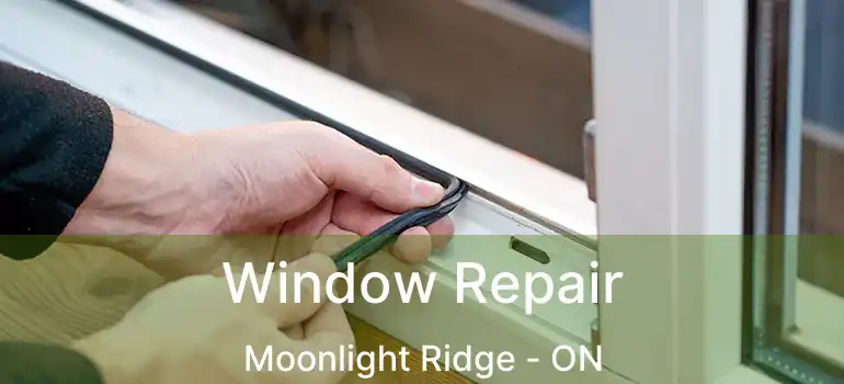  Window Repair Moonlight Ridge - ON
