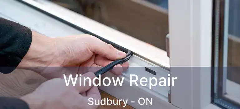  Window Repair Sudbury - ON
