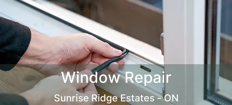  Window Repair Sunrise Ridge Estates - ON