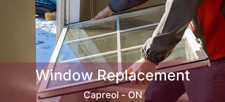  Window Replacement Capreol - ON