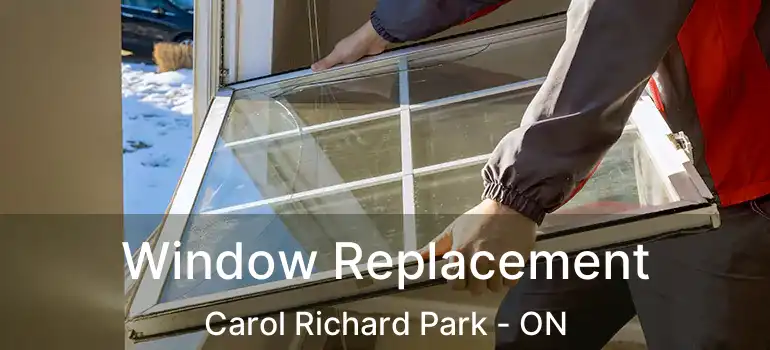  Window Replacement Carol Richard Park - ON