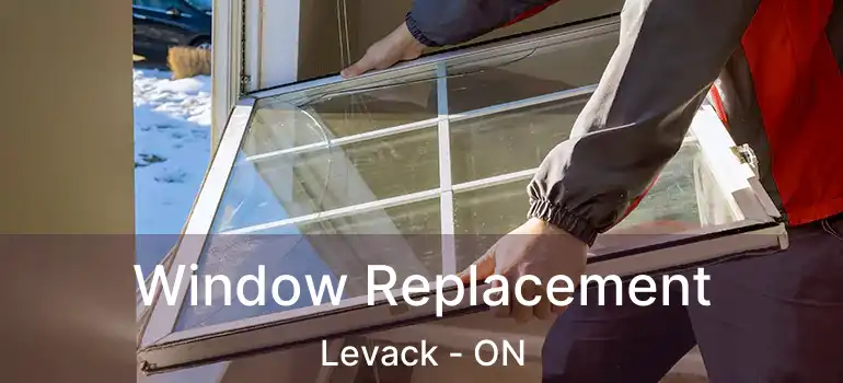  Window Replacement Levack - ON