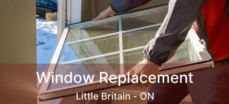  Window Replacement Little Britain - ON