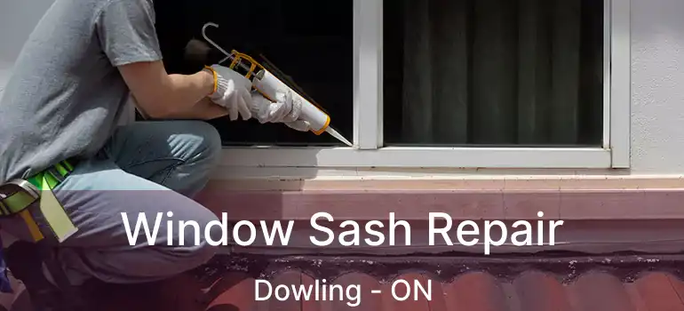  Window Sash Repair Dowling - ON