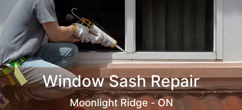 Window Sash Repair Moonlight Ridge - ON