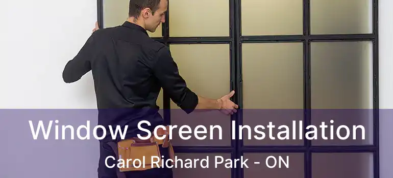  Window Screen Installation Carol Richard Park - ON