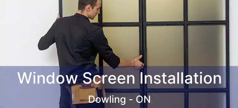  Window Screen Installation Dowling - ON