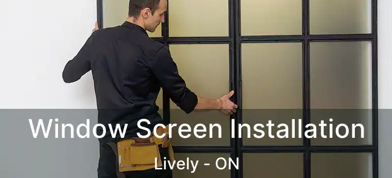  Window Screen Installation Lively - ON