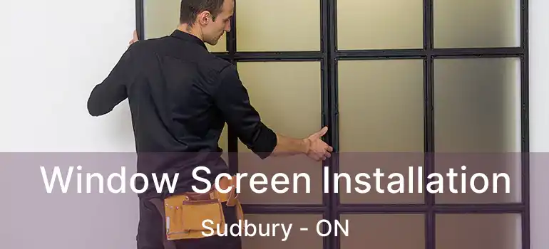  Window Screen Installation Sudbury - ON