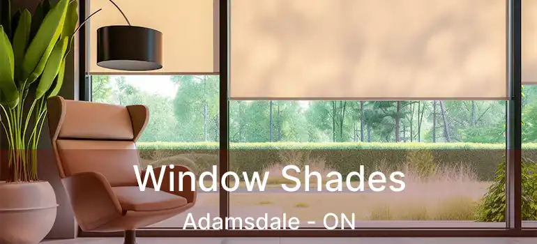  Window Shades Adamsdale - ON