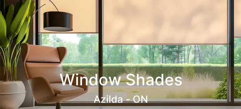  Window Shades Azilda - ON