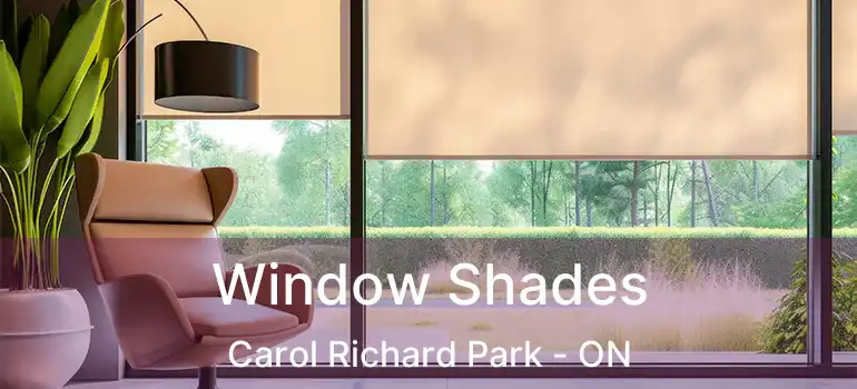  Window Shades Carol Richard Park - ON