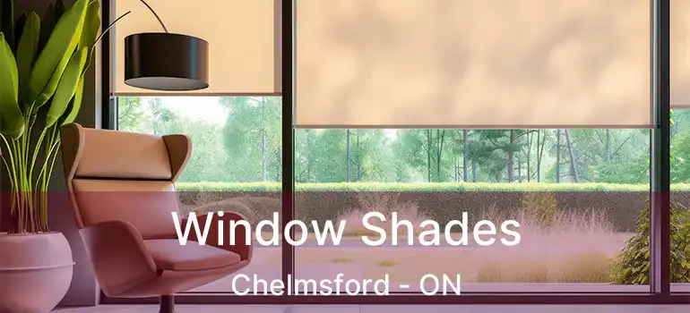  Window Shades Chelmsford - ON