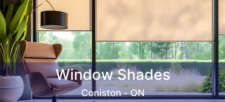  Window Shades Coniston - ON