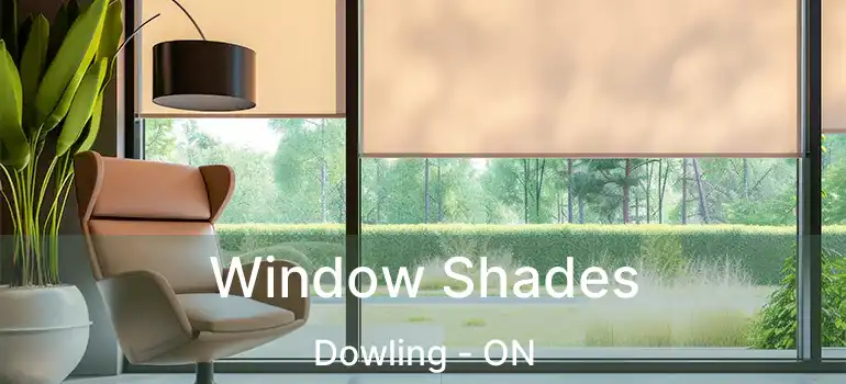 Window Shades Dowling - ON