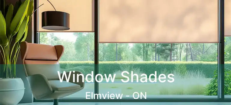 Window Shades Elmview - ON