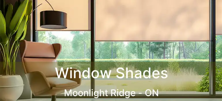  Window Shades Moonlight Ridge - ON