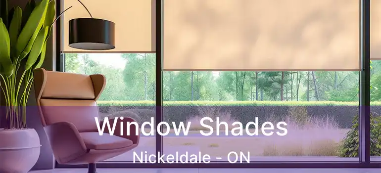  Window Shades Nickeldale - ON