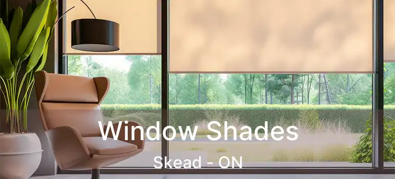  Window Shades Skead - ON
