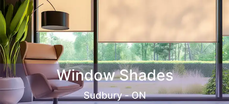  Window Shades Sudbury - ON