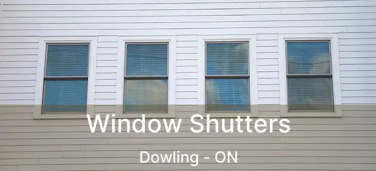  Window Shutters Dowling - ON