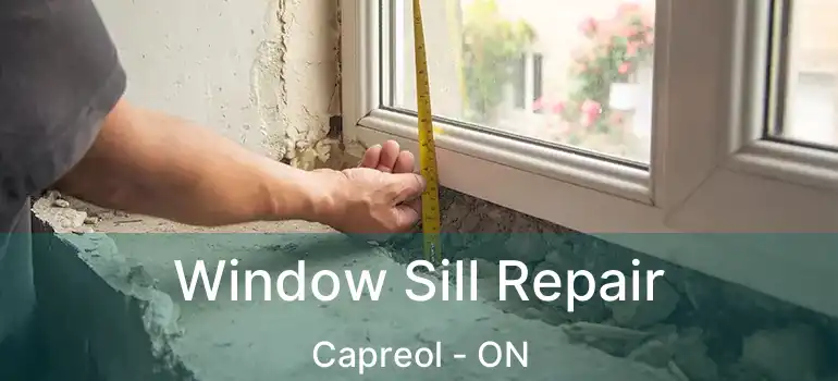  Window Sill Repair Capreol - ON
