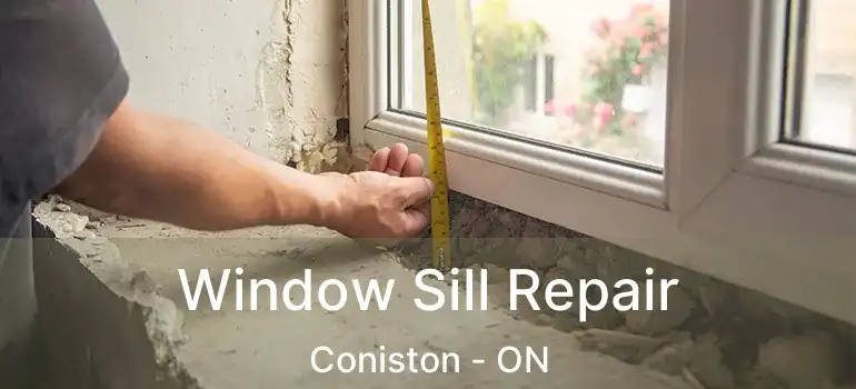  Window Sill Repair Coniston - ON