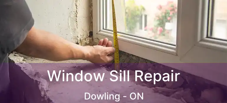  Window Sill Repair Dowling - ON