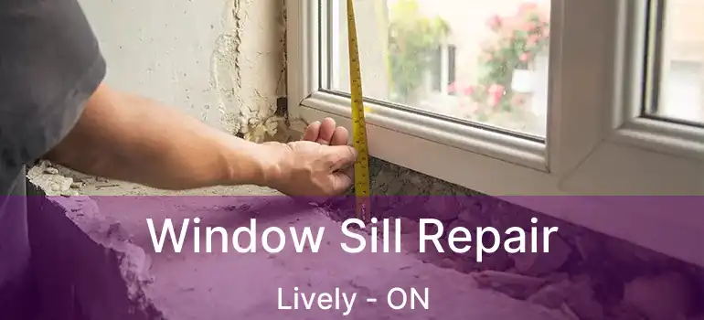  Window Sill Repair Lively - ON